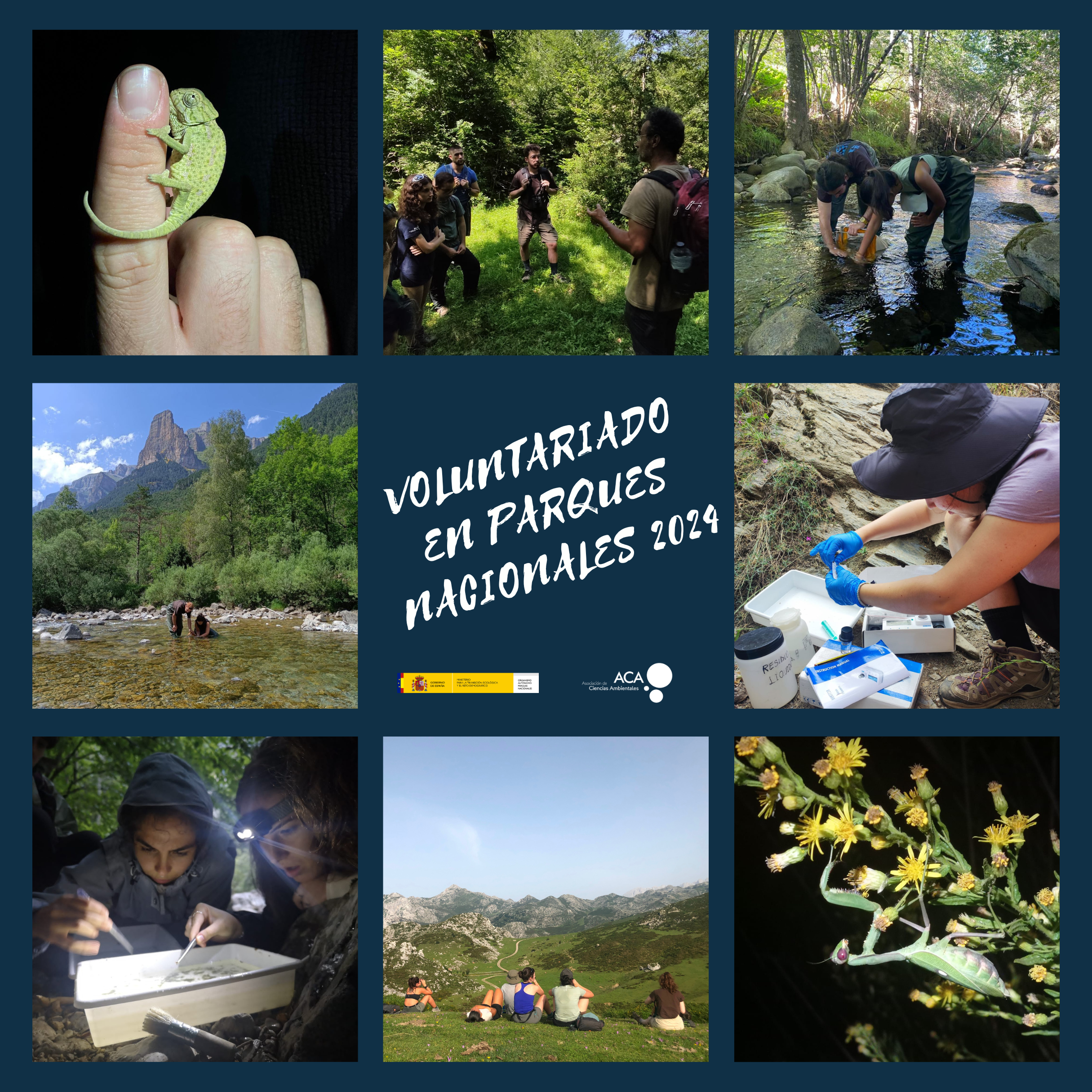 Proyecto de Voluntariado en Parques Nacionales
